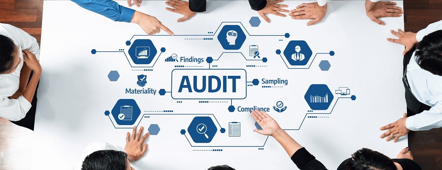 An above table image of the audit process